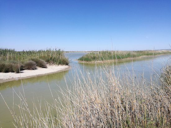 Parque Nacional de Doñana